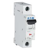 PL6-B4/1 Wyłącznik nadprądowy 6kA B4A 1P 286517 EATON