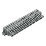 MCS-MIDI Classic gniazdo 21-bieg. szare raster 5 mm /10szt./ WAGO