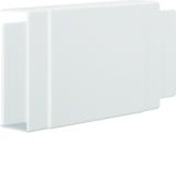 tehalit.LF Element T/X, 40x110mm, biały LF4011089016 HAGER