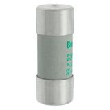 C22M100S Wkładka cylindryczna z wybijakiem 22x58 100A GG 500V AC C22M100S EATON