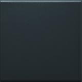 tehalit.WA Klawisz do łącznika 1-klawiszowego PC-ABS bezhalogenowy czarny