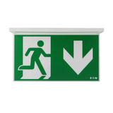 NexiTech LED opal szyba strzałka w dół / zaślepka 30m ISO7010 NEXI-PLEXO-DB EATON