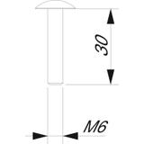 BS M6x30 VA, Śruba M6x30