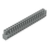 MCS-MIDI Classic gniazdo 21-bieg. szare raster 5 mm /10szt./ WAGO