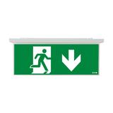 NexiTech LED szyba strzałka w dół / strzałka w dół 20m ISO7010 NEXI-PLEX-20-DD EATON