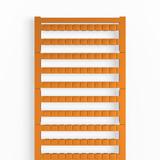 DEK 5/6 PLUS MC NE OR Oznaczenie terminala, Raster w mm: 6.00, pomarańczowy /1000szt./ 1378720000 WEIDMÜLLER