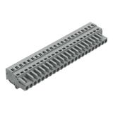MCS-MIDI Classic gniazdo 23-bieg. szare raster 5 mm /10szt./ WAGO