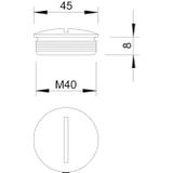 168 M, ZAŚLEPKI GWINTOWANE M40 MS/NIK.