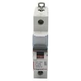WYŁĄCZNIK NADPRĄDOWY S 301 1P C 25A 6000A SERII DX3, Legrand