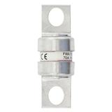 70AMP 150V AC SEMI-COND. FUSE Wkładka szybka 70A AC 150V DC 150V 25x68 mm UL FWA-70B EATON