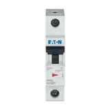 FAZ-C2/1 Wyłącznik nadprądowy 15kA C2A 1P 278549 EATON