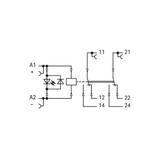 Moduł przekaźnikowy 24V DC 788-906 WAGO