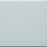 tehalit.WA Klawisz do łącznika 1-klawiszowego PC-ABS bezhalogenowy jasnoszary