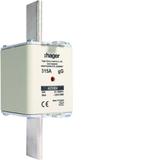 Wkładka bezp. nożowa NH2 wsk.podw. uchwyt nieiz. gG 315A 690VAC LNH2315M6 HAGER