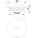 108, ZAŚLEPKA GWINTOW.PG36 TW.SZ
