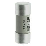 CYLINDRICAL FUSE 22 x 58 10A GG 690V AC Wkładka cylindryczna 22 x 58mm 10A GG 690V AC C22G10 EATON