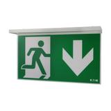 NexiTech LED opal szyba strzałka w dół / zaślepka 30m ISO7010 NEXI-PLEXO-DB EATON