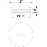 108, ZAŚLEPKA GWINTOW.PG16 TW.SZ