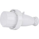 63A 400V 3P+PE Wtyczka IP67 EVH 6343 004482030 ETI