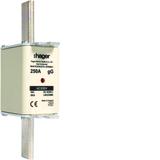 Wkładka bezp. nożowa NH2 wsk.podw. uchwyt nieiz. gG 250A 690VAC LNH2250M6 HAGER