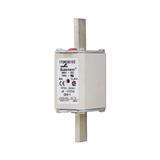 FUSE 63A 690V aR DIN 1 HSDNH Wkładka szybka 63A 690V aR DIN 1 podwójny wskaźnik 170M3810D EATON