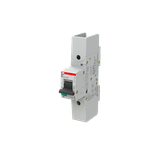 S801S-B20-R Wyłącznik nadprądowy 50kA 1P B20A 2CCS861002R0205 ABB