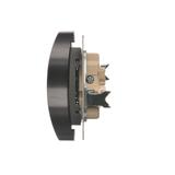 Simon 54 Nature Gniazdo wtyczkowe z uziemieniem z przesłonami podwójne do ramek NATURE 16A 250V zaciski śrubowe antracyt DGZ2MZN.01/48 KONTAKT