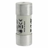 40A 690V 22X58 INDICATED 22 X 58MM 40A 700V 22X58 cylindryczna do półprzewodników wybijak 22 X 58MM