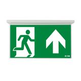 NexiTech LED opal szyba strzałka do góry / strzałka do góry 30m ISO7010 NEXI-PLEXO-UU EATON