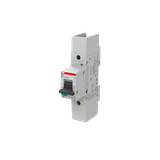 S801S-B16-R Wyłącznik nadprądowy 50kA 1P B16A 2CCS861002R0165 ABB