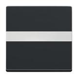 FUTURE Klawisz z polem opisowym Z pryzmatem do równomiernego podświetlenia opisu czarny matowy