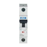 FAZ-C16/1 Wyłącznik nadprądowy 15kA C16A 1P 278561 EATON