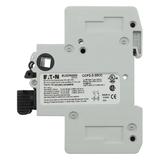 2 Pole Comp Ckt Protect 30A Rozłącznik bezpiecznikowy CCP 600VAC 125VDC 30A UL98 2P 60 Hz Kl CCP2-2-