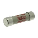 1A 250V AC 14x51mm S/COND FERRULE FUSE Wkładka szybka 1A AC 250V DC 250V 14x51 mm aR UL FWX-1A14F EA