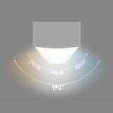 LIMEA SUBTILO   600mm 15W CCT 230V 120st IP20 BIAŁY 2 lata gw.