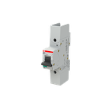 S801S-UCB32-R Wyłącznik nadprądowy 50kA AC/DC 1P UCB32A 2CCS861002R1325 ABB