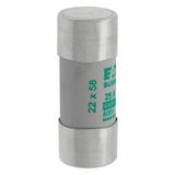 CYLINDRICAL FUSE 22 x 58 25A AM 690V AC Wkładka cylindryczna 22 x 58mm 25A AM 690V AC C22M25 EATON