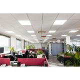Zasilacz DR DALI-SUP-150/220-240/24