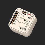 Wzmacniacz RGB dopuszkowy TYP: WLP-01