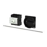 P3-100/M4/SVB-SW Rozłącznik główny 3P 100A przedłużka metalowa 400mm 172819 EATON