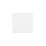 Simon 55 Klawisz pojedynczy do: SW1M SW6M SW7M SP1M Antybakteryjny Biały mat