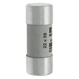 wkładka bezpiecznikowa cylindryczna 22x58 6A GG 690V AC C22G6 EATON