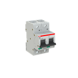 S802N-D32 Wyłącznik nadprądowy 36kA 2P D32A 2CCS892001R0321 ABB