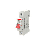 E201/80A gr, rozłącznik