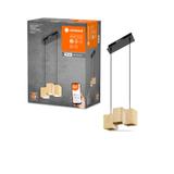 Oprawa Smart+ Decor Wood pendant TW bk and wood