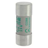 CYLINDRICAL FUSE 22 x 58 4A AM 690V AC Wkładka cylindryczna 22 x 58mm 4A AM 690V AC C22M4 EATON