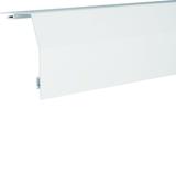 tehalit.RK 230 Pokrywa główna biały RK2309010 HAGER