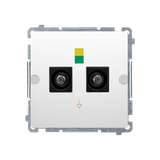 Simon BASIC WMUE-012000-1013 Gniazdo ekwipotencjalne podwójne (