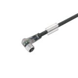 SAIL-M8BG-3L20U Kabel czujnikowy, nr katalogowy 1444182000