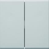 tehalit.WA Klawisze do łącznika 2-klawiszowego PC-ABS bezhalogenowy jasnoszary